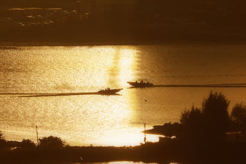 Foto profissional grátis de árvores, barcos, cair da noite