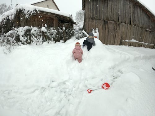 Free stock photo of christmas, kids in snow, snow