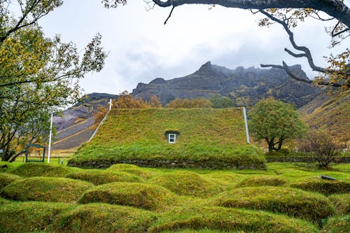 House with Grass Roof in Iceland