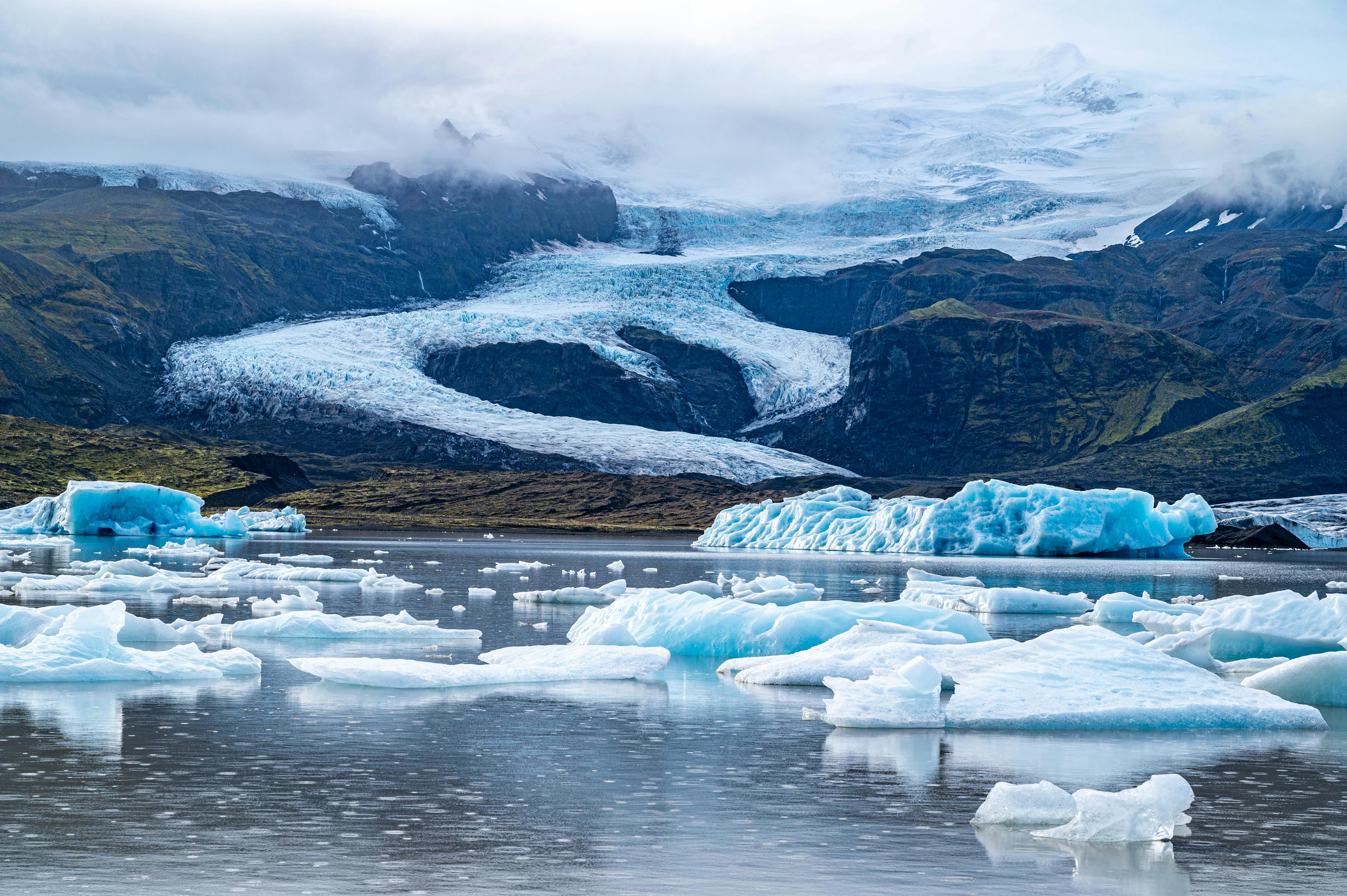 ICE, Climate Bonds Initiative Partner to Strengthen Sustainable Bond Data Transparency — Photo by David Stanfield on Pexels