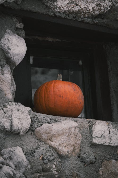 Pumpking on Stone Wall
