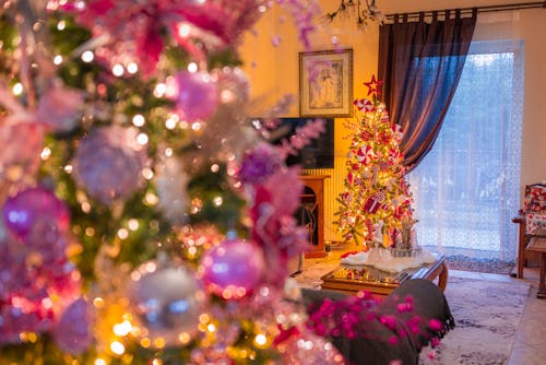 Living Room Decorated with Christmas Trees