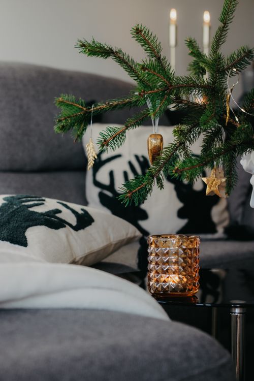 Free Festive living room with Christmas decor and cozy ambiance, perfect for the holiday season. Stock Photo