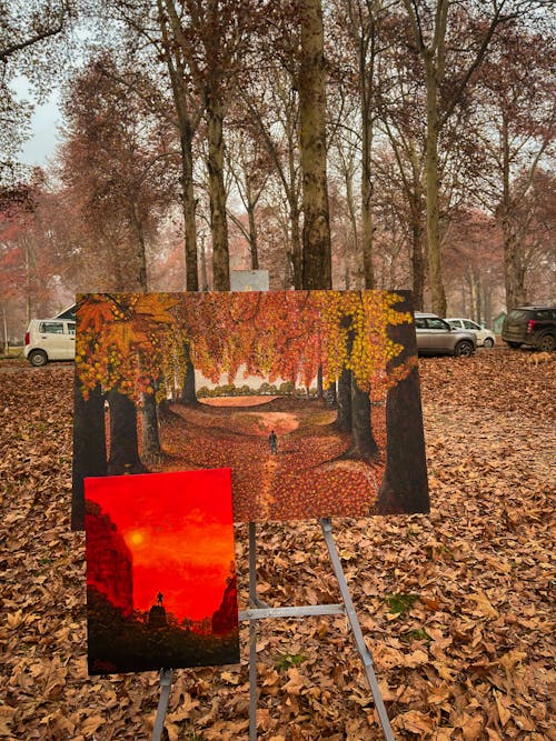 Základová fotografie zdarma na téma abstraktní obraz, podzim, podzimní barvy