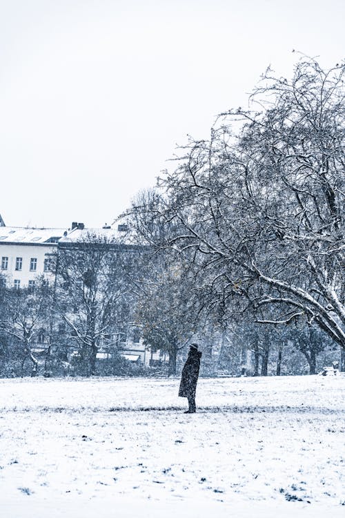 Person Standing in the City Park on a Snowy Day 