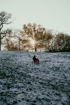 Person sledding down a snowy hill during winter with sun setting behind trees.