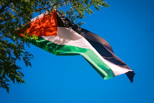 Ilmainen kuvapankkikuva tunnisteilla isänmaallisuus, lippu, palestiina