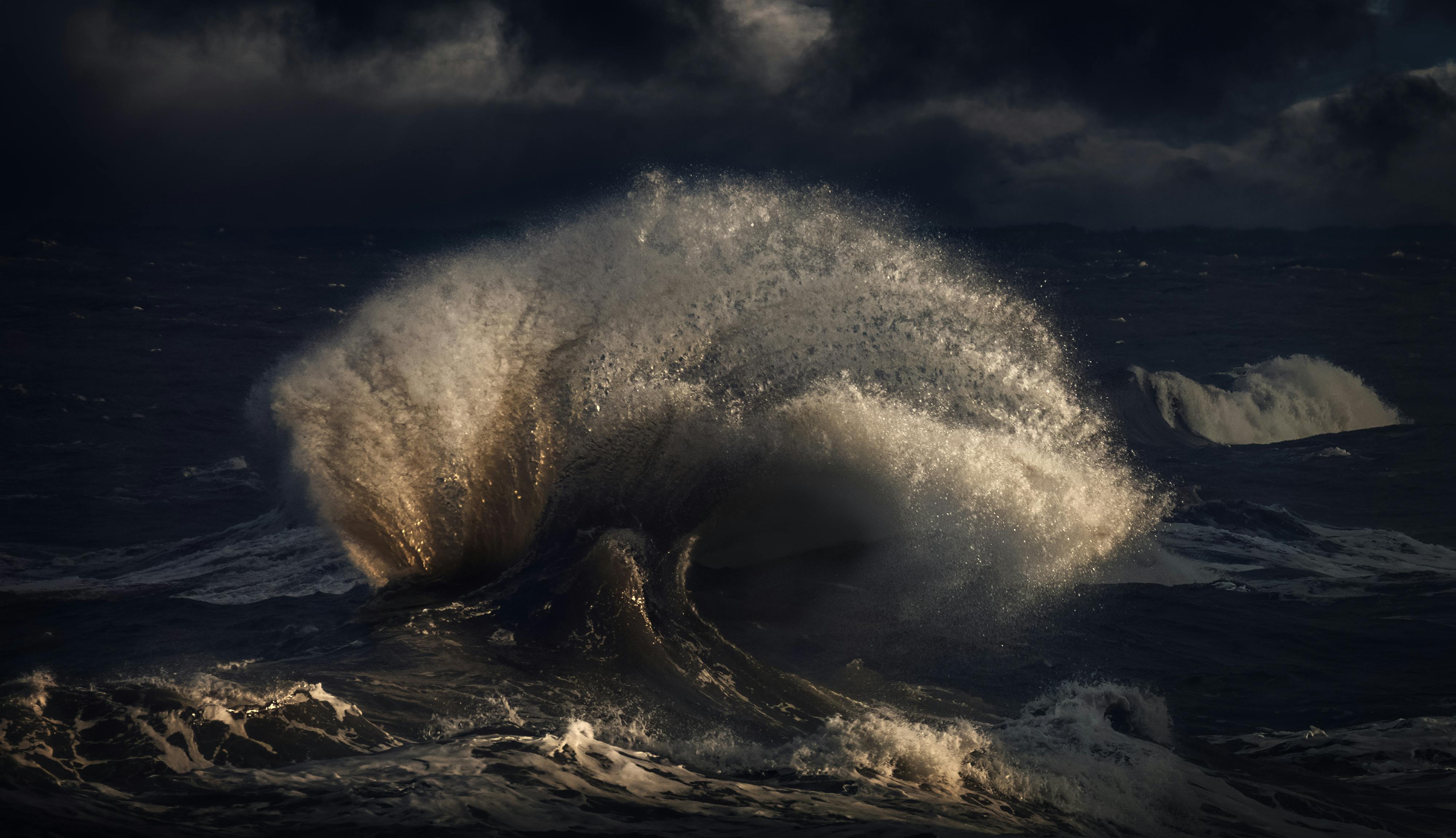 pexels-photo-19322865.jpeg?