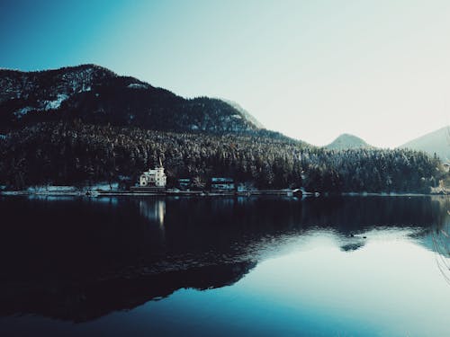 Бесплатное стоковое фото с lakeshore, горы, деревья