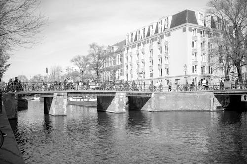 Bridge on River in Town in Black and White