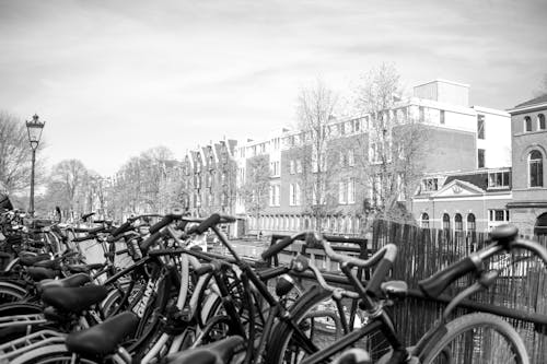 Základová fotografie zdarma na téma Amsterdam, černobílý, detail