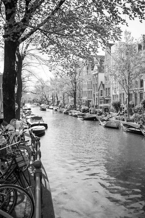 Canal in Town in Black and White