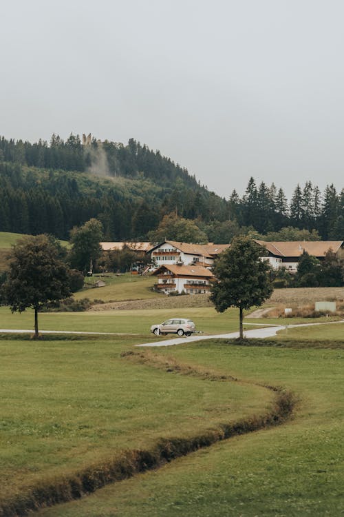 Immagine gratuita di alberi, Baviera, collina