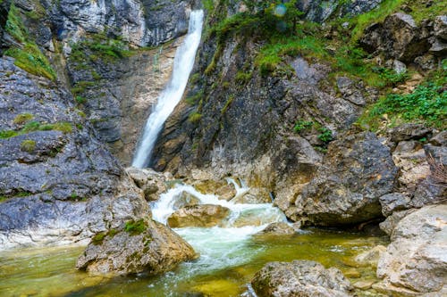 Immagine gratuita di cascata, muschio, natura