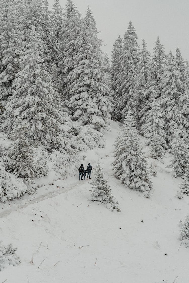 Parents With Child In Forest In Winter