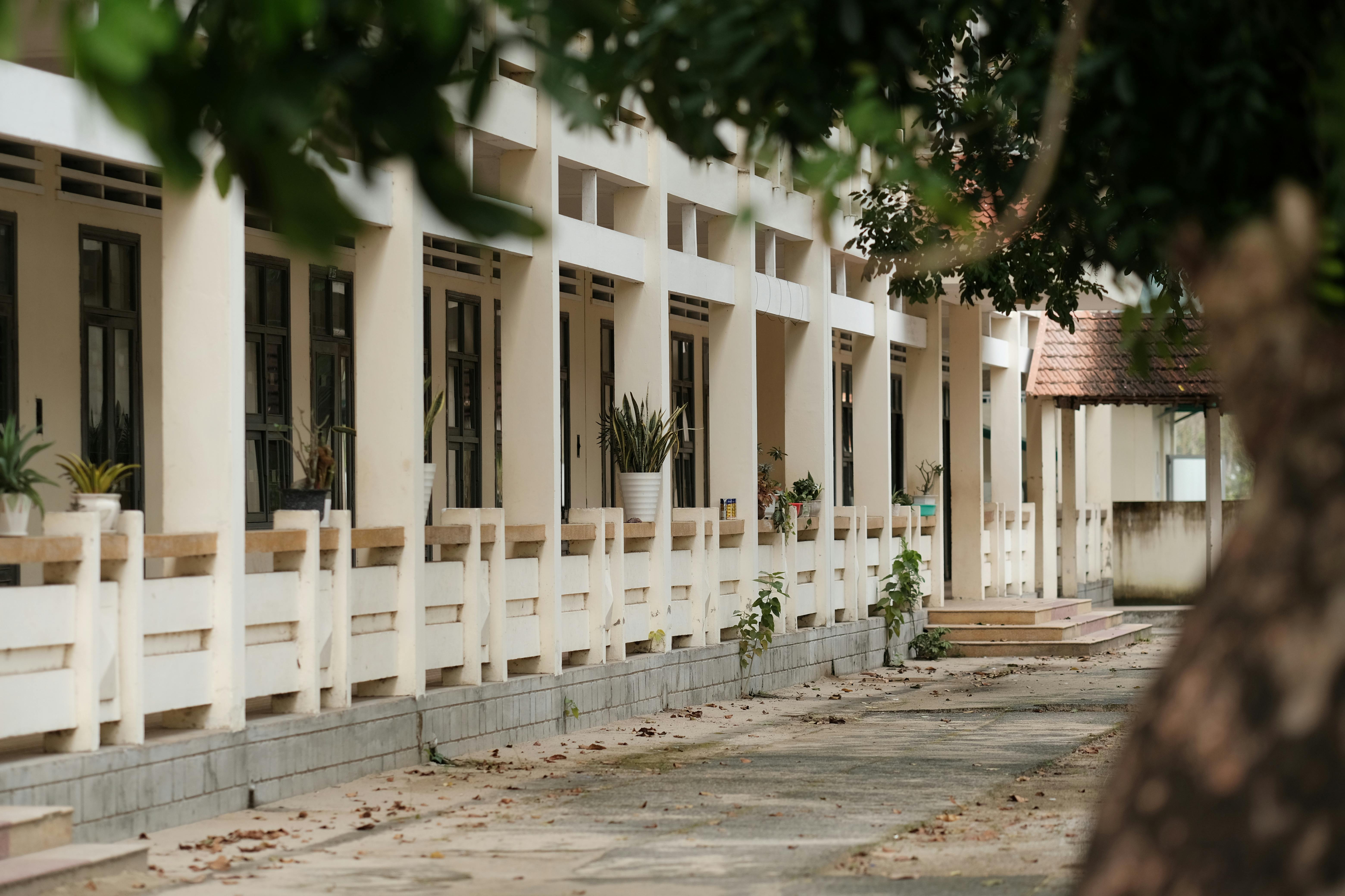 general education department — Photo by Pew Nguyen on Pexels