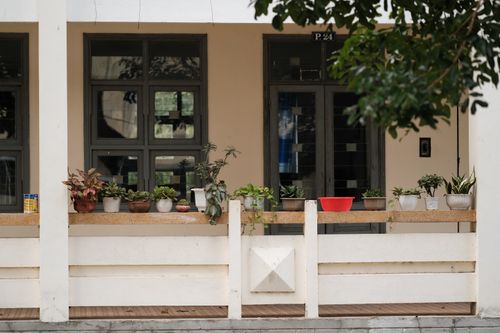 Free A collection of potted plants arranged on a charming porch, adding natural beauty and warmth. Stock Photo