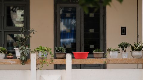 A peaceful balcony featuring a variety of potted plants and a red container, perfect for gardening enthusiasts.