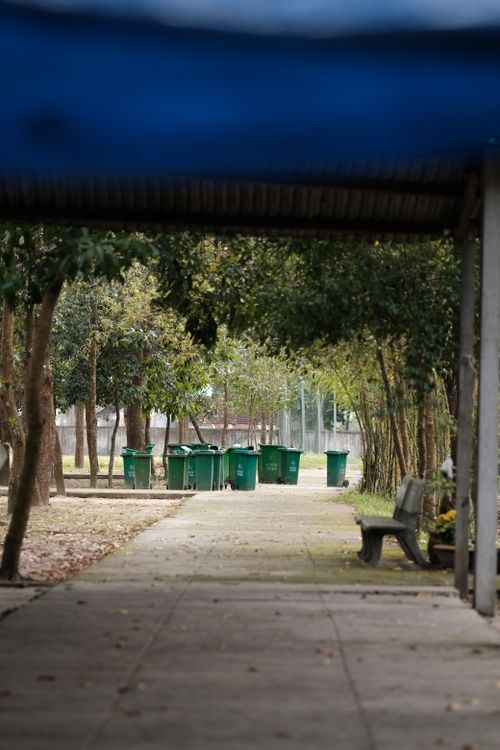 Free Tranquil park view with green bins lined under the trees along a pathway. Stock Photo
