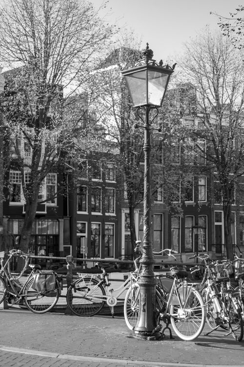 Free A black and white view of classic bicycles lined up on an Amsterdam street near traditional townhouses. Stock Photo