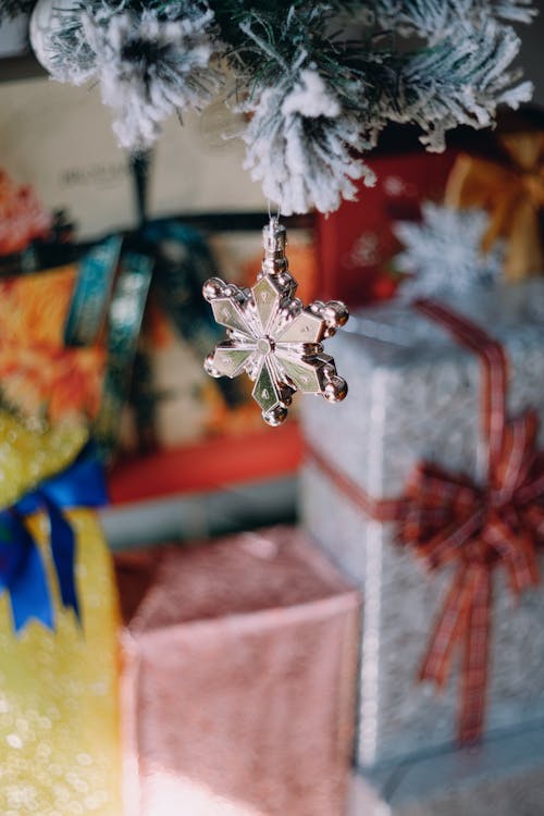 Kostnadsfri bild av jul, julgranar, nativitet