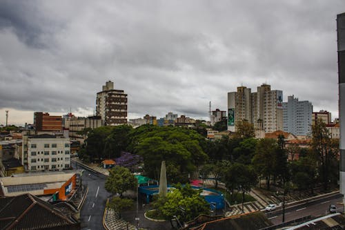 View of a Park and Modern Buildings in City