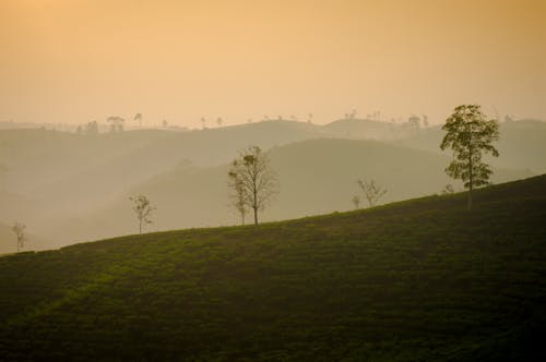 Countryside Landscape at Sunset