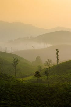 Image by Ruly Nurul Ihsan