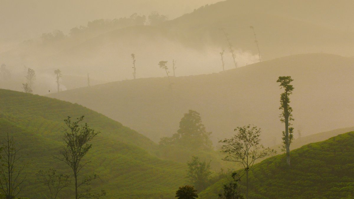 Visual editorial: Rahasia Hukum Semesta
