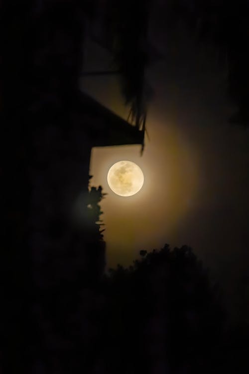 The Moon in night sky Kerala