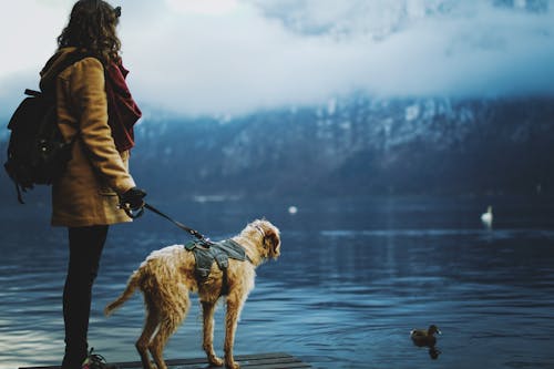 Woman with a Dog by the Stream