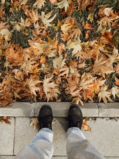 Free Feet in shoes standing on pavement next to colorful autumn leaves. Stock Photo
