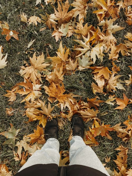 Free Top-down view of a person standing on fallen autumn leaves wearing boots and jeans. Stock Photo