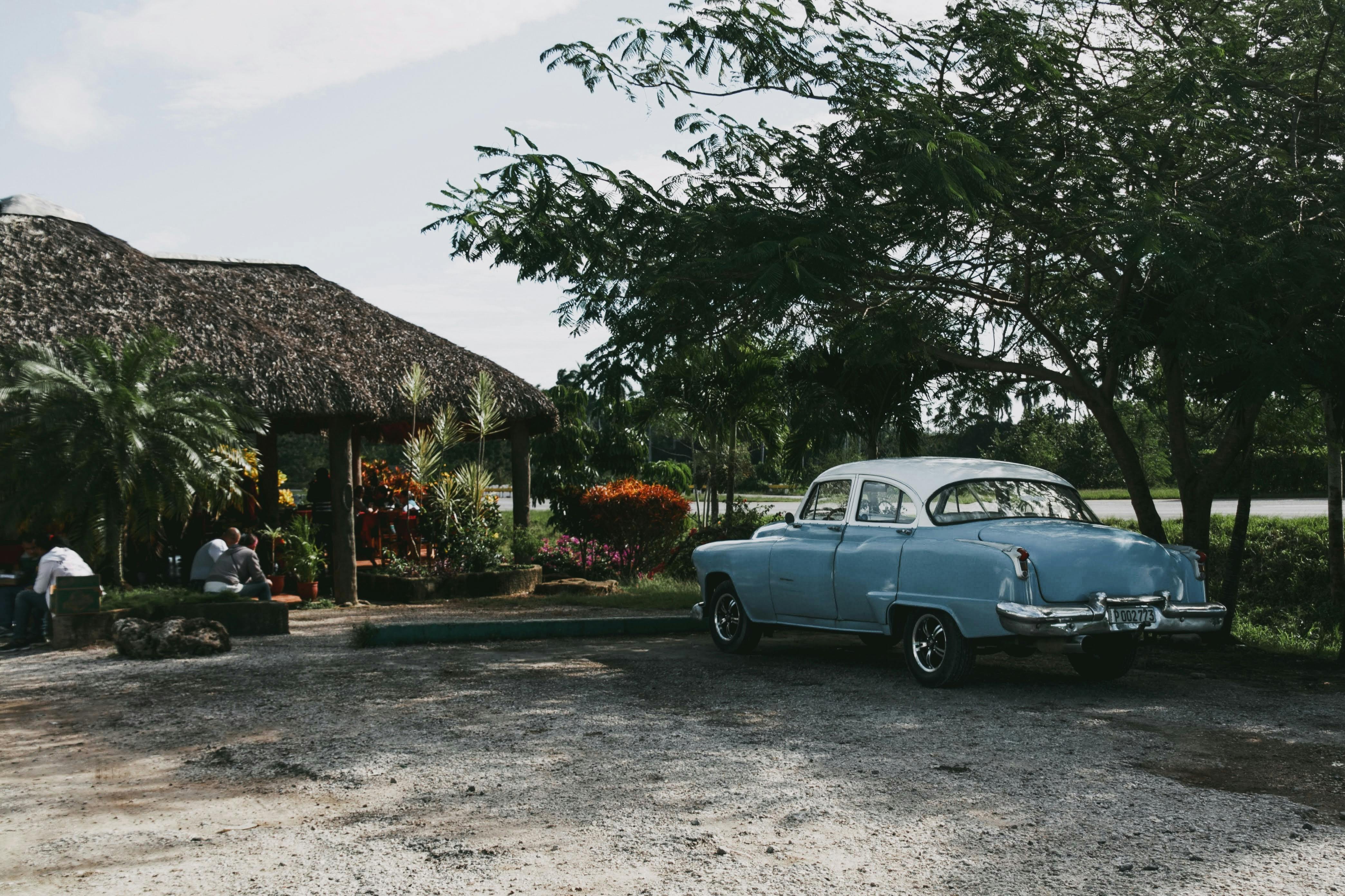 Soto Photos, Download The BEST Free Soto Stock Photos & HD Images