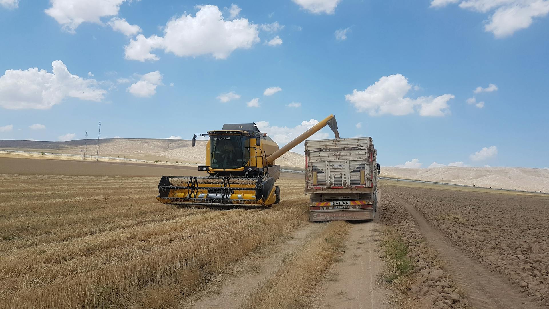 Combine harvester unloading grain into a truck in a rural agricultural field.