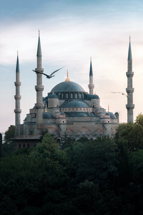 View of the Blue Mosque in Istanbul, Turkey 