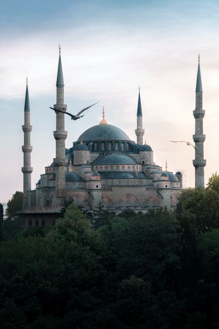Beautiful view of the Blue Mosque in Istanbul, showcasing its domes and minarets with birds flying by.