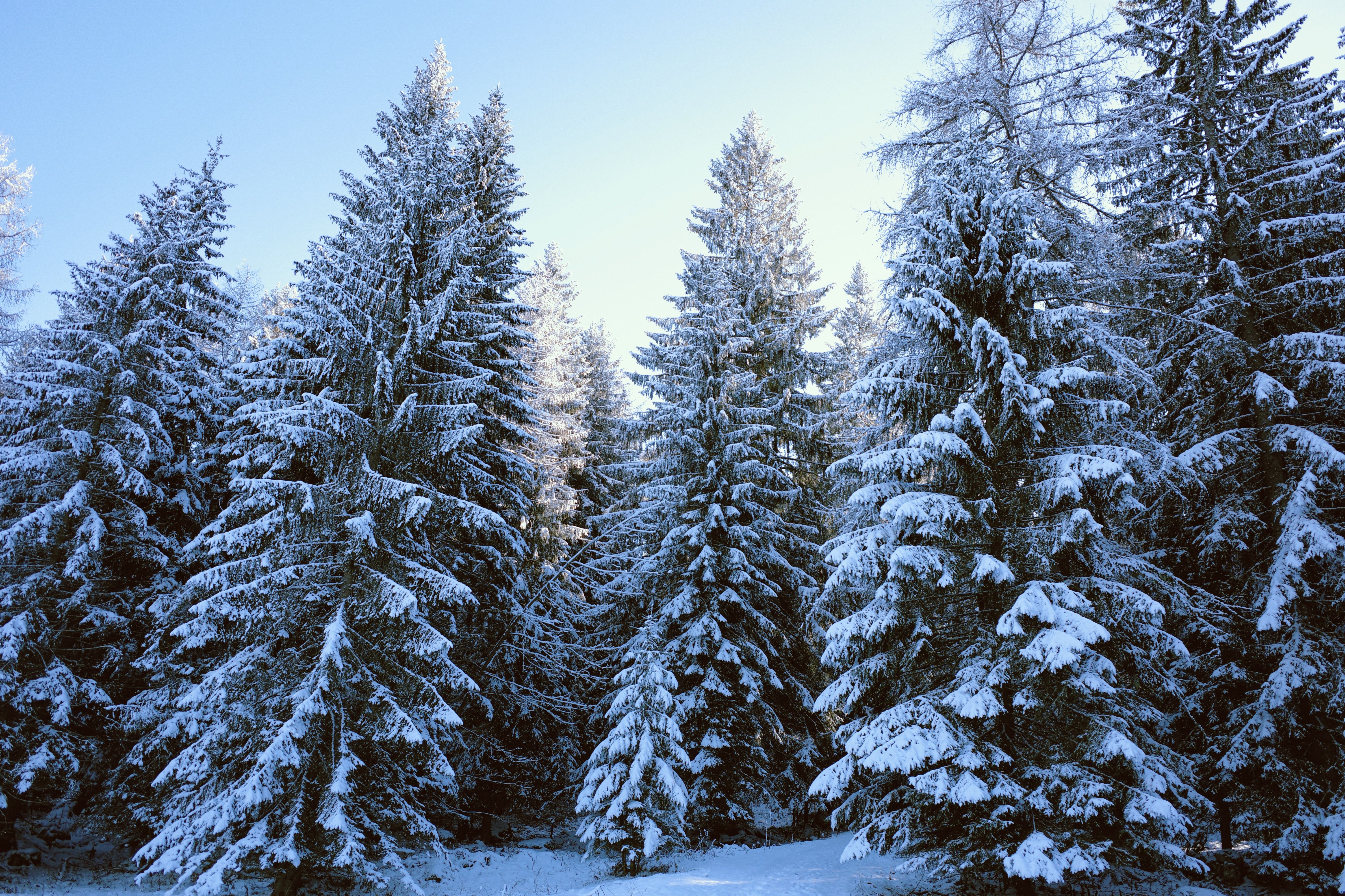artificial snow environment
