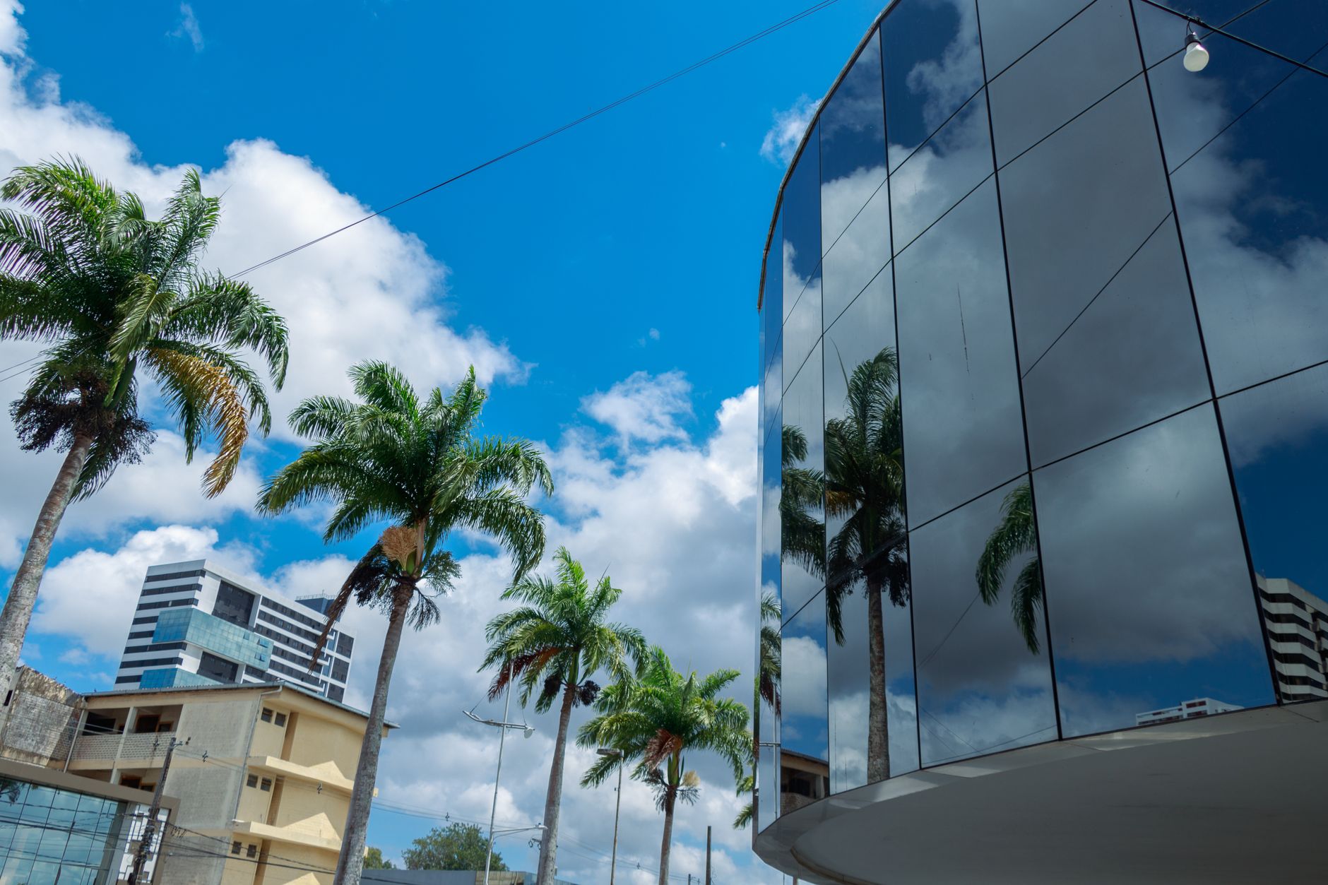 Reflective glass building and palm trees under a vibrant blue sky in Campina Grande, Brazil.