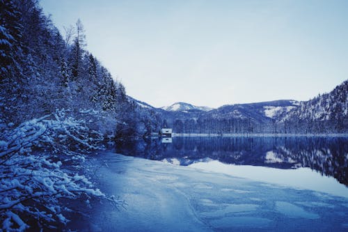 Immagine gratuita di cottage, foresta, freddo