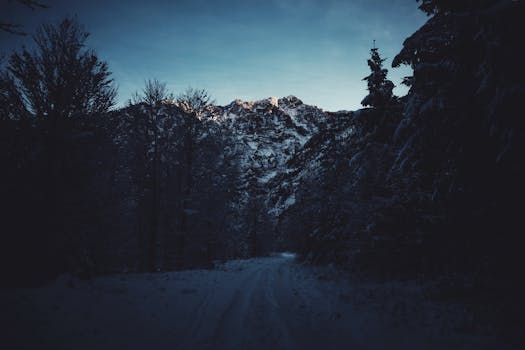A serene winter scene featuring a snow-covered path through a dark, dense forest leading to snowcapped mountains at dusk.