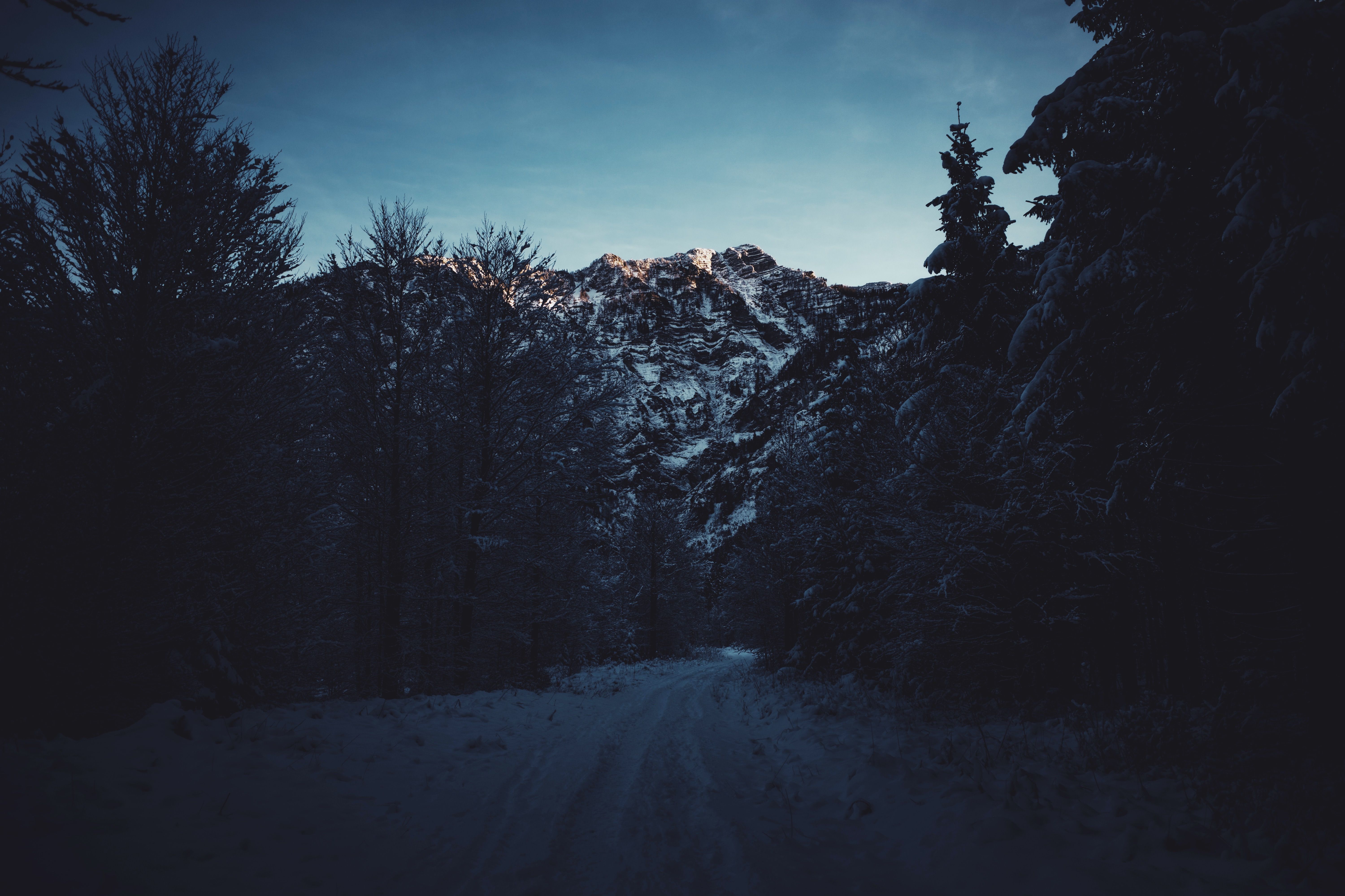 Icey Path Photos, Download The BEST Free Icey Path Stock Photos & HD Images