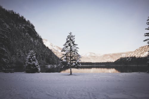 Ücretsiz dağlar, göl, kırsal içeren Ücretsiz stok fotoğraf Stok Fotoğraflar