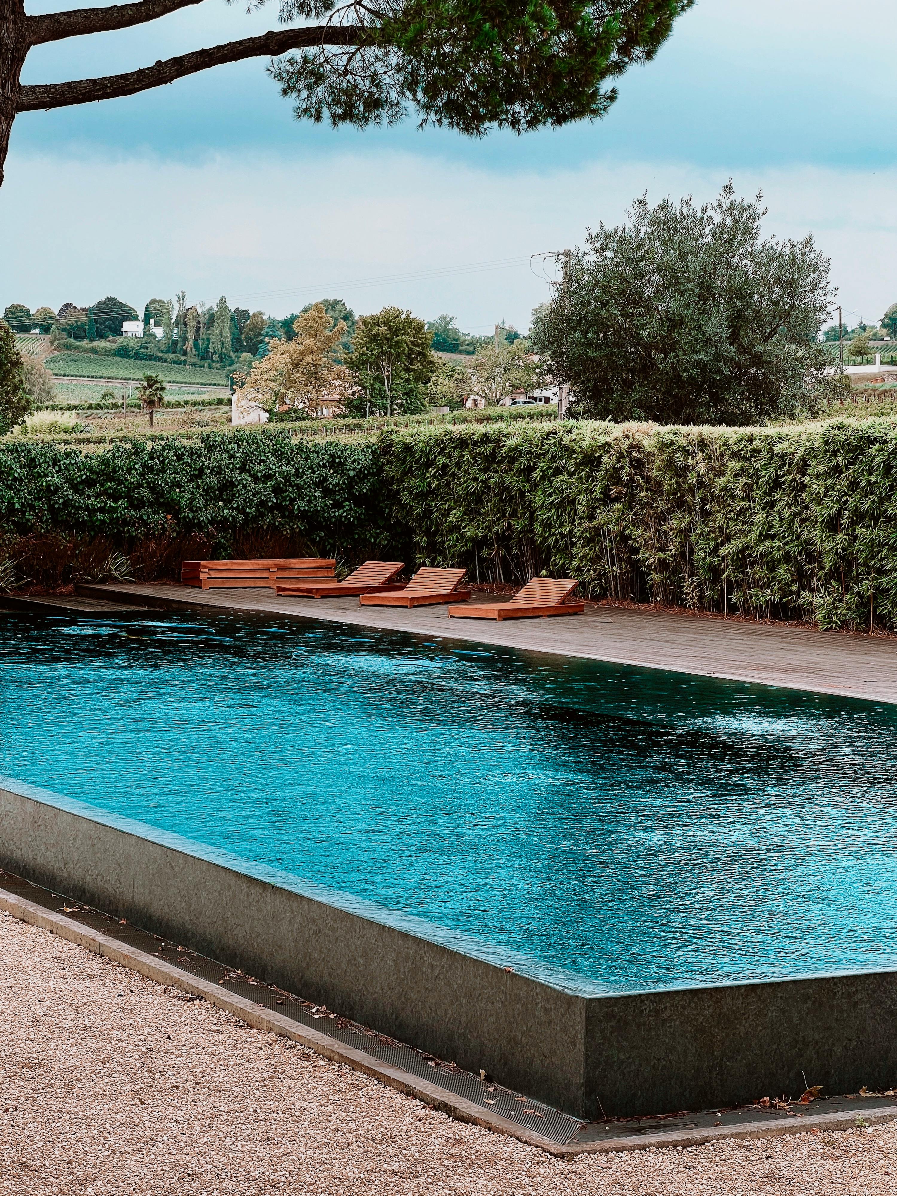 loungers between hedge and swimming pool