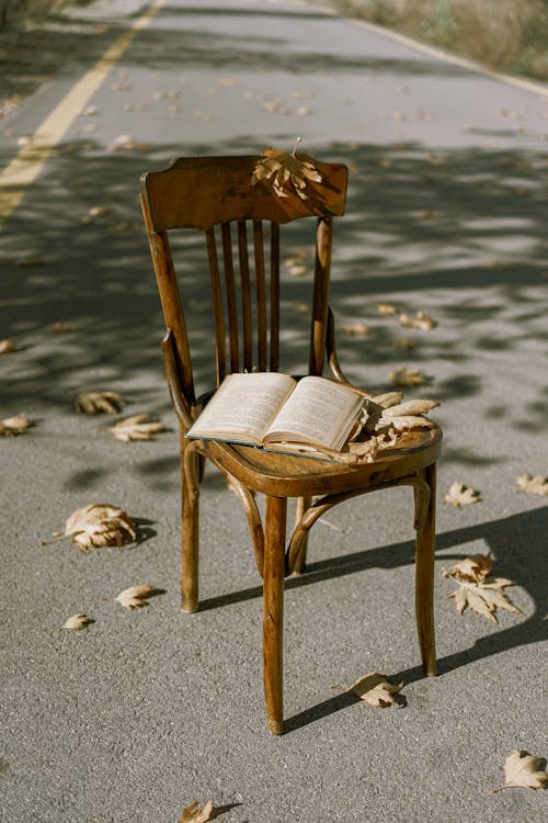 Autumn Leaves and Book on Wooden Chair on Road