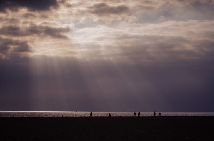 Silhouette Of People Standing On Beach