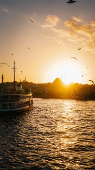 Peaceful sunset scene with boats and birds over a shimmering waterfront, evoking tranquility.