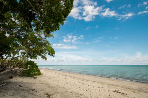 Free Peaceful beach scene with clear skies and lush green trees, perfect for a tranquil getaway. Stock Photo