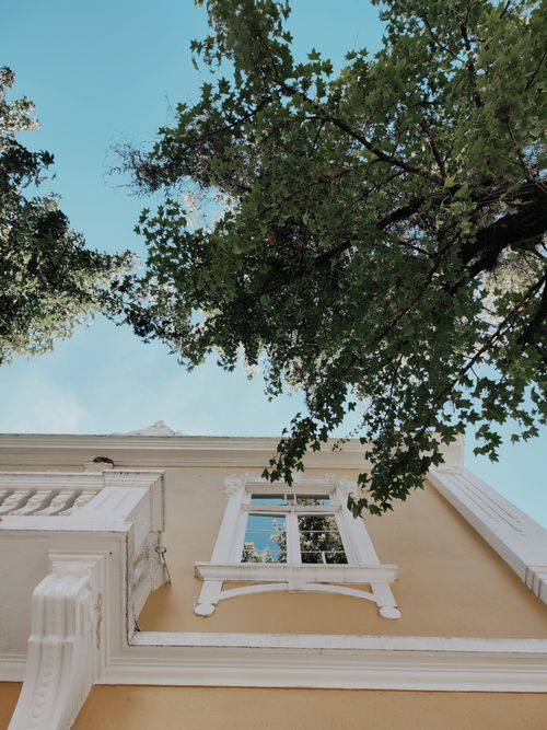 Free Charming view of an old building facade with large tree branches and a bright sky. Stock Photo