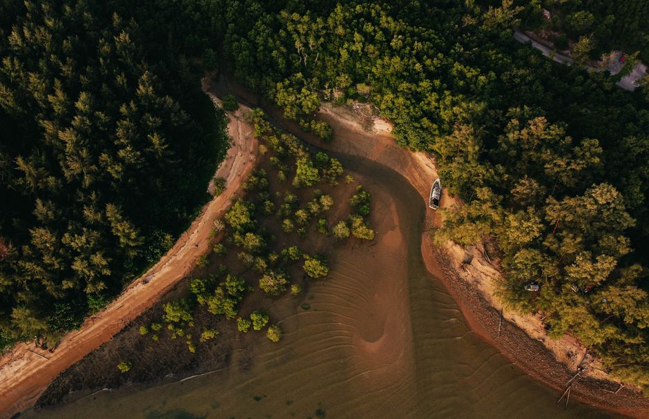 Stunning aerial view of lush forest landscape and riverbank in Chukai, Malaysia.
